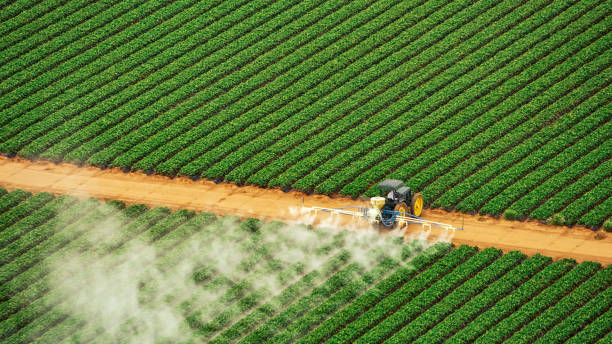 Best Mosquito Control Services  in New Canaan, CT