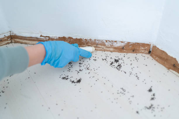 Pest Control for Restaurants in New Canaan, CT